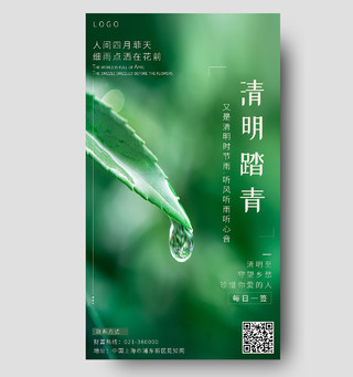 绿色简约清明踏青传统节日二十四节气清明节手机海报